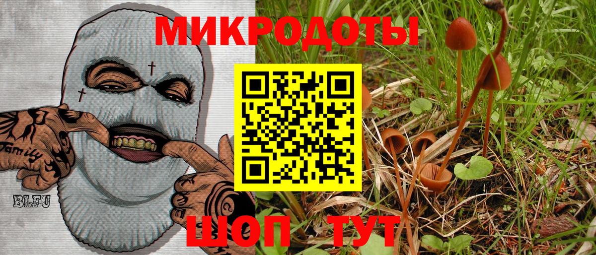 Михайловск  Галлюциногенные грибы мицелий  Вход с VPN  цены наркотик  Галлюциногенные грибы мицелий 